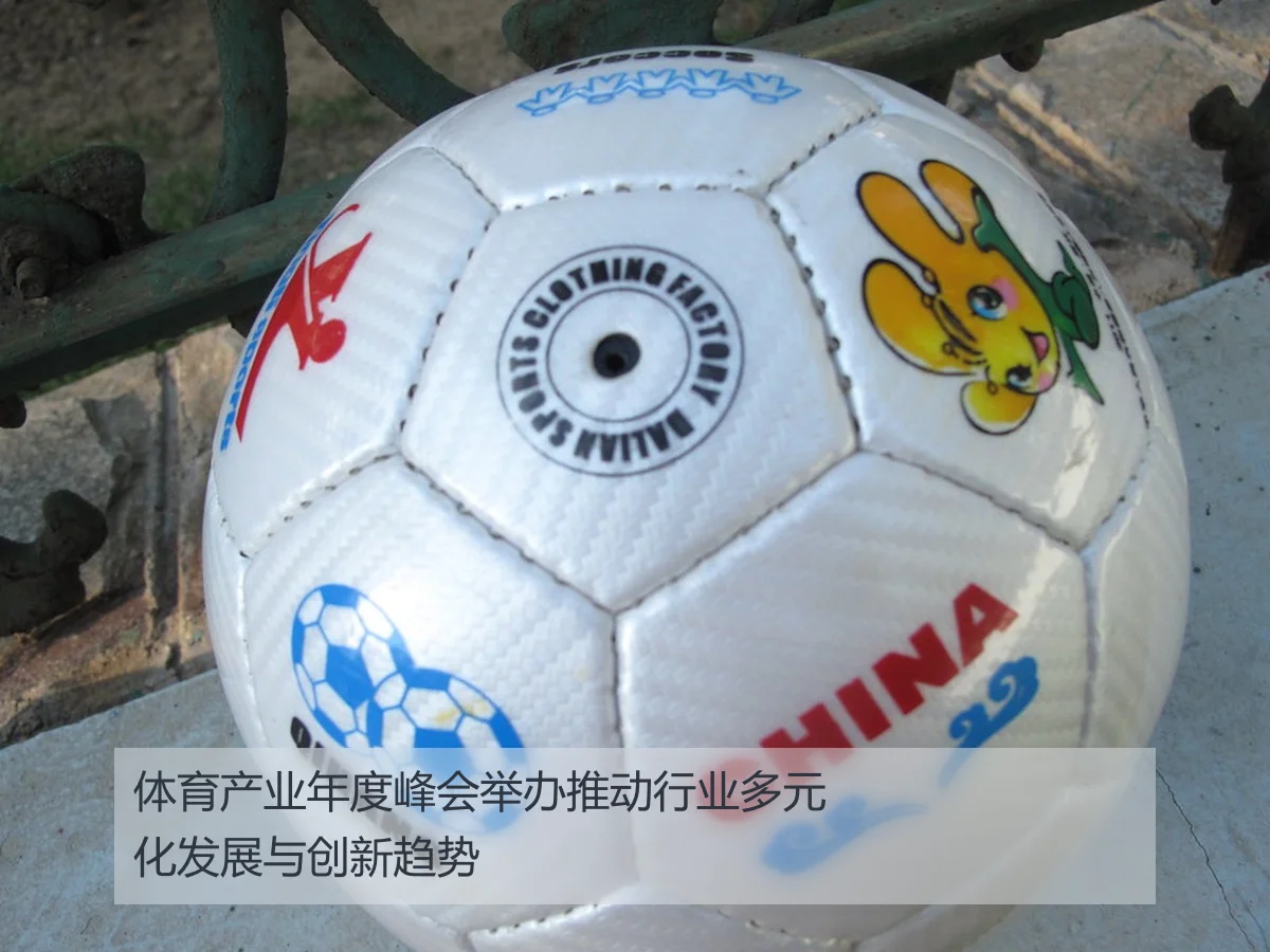 体育产业年度峰会举办推动行业多元化发展与创新趋势